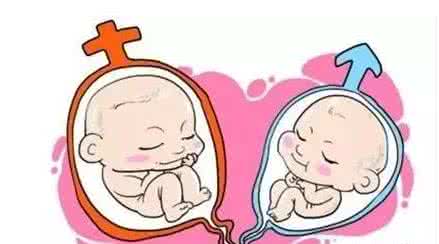关于助孕全国招募孕妈志愿者